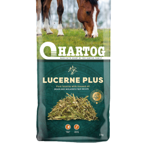 Hartog Lucerne Plus